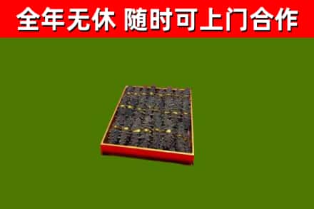安多县回收海参